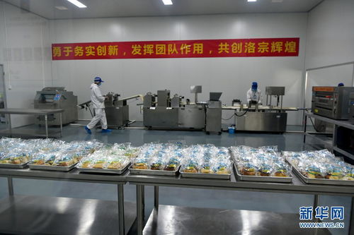 西藏洛隆 以青稞深加工技術(shù)開發(fā)，鋪就高原特色產(chǎn)業(yè)增收路